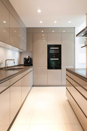 reference luxury kitchen