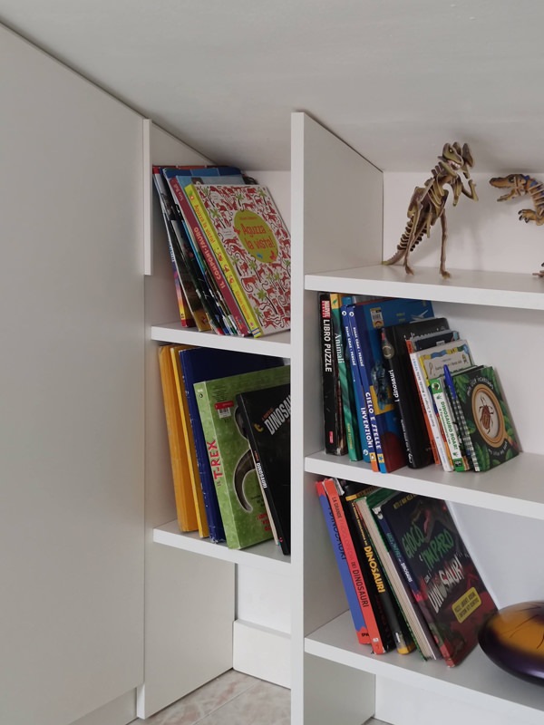 bookcase detail with fixed door and white bilaminate shelves